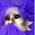 :iconvioletslament: