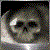 :iconvioletstorm2050: