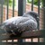 :iconvioletthebat: