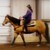 :iconviolinist391: