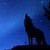 :iconvip333: