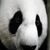:iconvipanda: