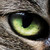 :iconviper-08: