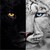 VIPER06966 :iconviper06966: