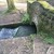 :iconvippy-stitch: