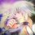 :iconvirgiltheart: