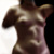 :iconvirginexcursion: