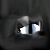 :iconvirginiarose: