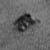 :iconviridis-fiddler: