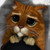:iconvirpara: