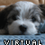:iconvirtualpartner: