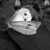 :iconvirtuous-martyn: