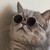 :iconvirume: