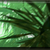 :iconvirus73: