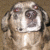 :iconviruswatts: