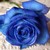 :iconvishwa01: