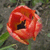 :iconvisible-invisible: