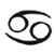 :iconvisionphotography: