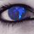 :iconVisserStormBeak: