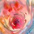 :iconvissssya: