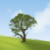 :iconvista-painters: