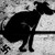 :iconvisual-ist: