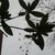:iconvisual-snow-syndrome: