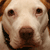 :iconvisuallyconnected: