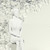 :iconvisualpleasure: