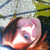 :iconvisuarukei: