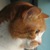 Viszay :iconviszay: