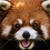 :iconvitaflos: