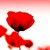VITTOCOQUELICOT :iconvittocoquelicot: