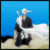 :iconviva-lfan: