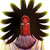 :iconvivalaquinn:
