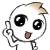 :iconvivalayoli: