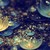 :iconvive028: