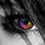 :iconvivi-photography: