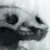 :iconvivi013: