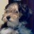 :iconvivi31078: