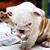 :iconvivian2410: