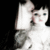 :iconviviana456: