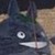 :iconvivianluvssebastian: