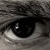:iconvivid-thought-rp: