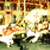 :iconvividcarousel: