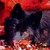 :iconvixensilverfang: