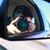 :iconvjwphoto: