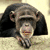 :iconvlad-saul: