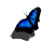 :iconvlakfly: