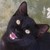 :iconvluekisses:
